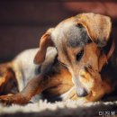 미래복지재단(요양센터) | 김포요양원 미래복지요양센터 정직한 후기 모음