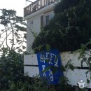 바닷길 풍경 이미지