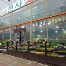 천사꽃집 - 속초시 동해대로 4272 | 천사꽃집
