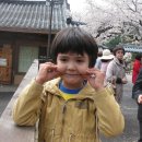 아리랑광고 이미지