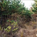 임곡1리 이미지