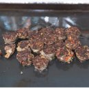 생생새우 이미지