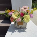 용머리초교병설유치원 이미지