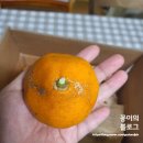 바이토산