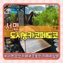 카페051사직역삼정 | 부산 서면 조용한 카페 도시 속 일본 정원 감성 카페 추천 도시농가카페도코