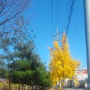 석남완충도시숲 이미지