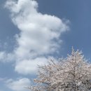 게이트pc방 | 26년 4월 4일 박효신 콘서트 인천 문학경기장 SR석 2층 N4구역 6열 5번 시야, 관람 후기, 꿀팁