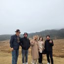 초원 | 일본 후쿠오카 아소 쿠사센리의 드넓은 초원 방문 후기