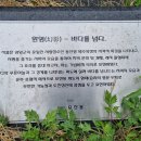 해파랑길 42코스 이미지
