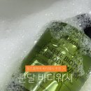 워시워시 | 등드름바디워시 사용 후기 쿤달 바디워시추천