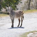 소소한하루 이미지