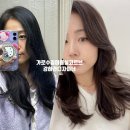 방배로15길 41-4 | 가로수길미용실 코르브 강하라디자이너 블랙빼기+밝은톤 염색+퍼스널컷 후기