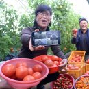 창조농장 이미지