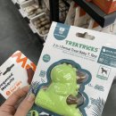 야옹아멍멍해봐 송파위례점 이미지