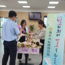 제주시 농협 본점 이미지