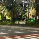 하도하도 3200 이미지