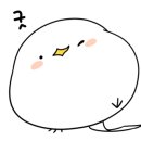 영조 건축사사무소 이미지