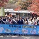 강천산(광주) 이미지