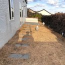 돌 민박 | 제주 반려견동반 독채 마당 숙소 <금배네 민박> 솔직 후기