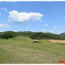 연천신답리고분 이미지