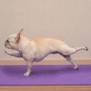 우리휘트니스 이미지