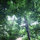 우곡사거리 이미지