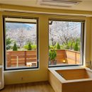 일휴일박 이미지