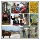 연리지민박 이미지