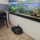 우리사이김밥 네이버블로그