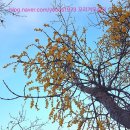 산마을건강원 - 밀양시 감물1길 84-150 | 산마을건강원