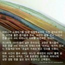 온김밥 Daum카페
