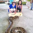 산호농장 | 보홀 여행 코스 3박 5일 단독 보홀 호핑투어 업체 후기