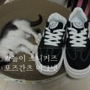 여자 키높이 스니커즈 가성비 운동화 포즈간츠 마그넷 (멈멈 뉴메리 비교)