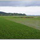 거전마을 이미지