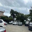 진팔팔감자탕 | 가족 외식으로 좋은 기장 맛집 진팔팔감자탕본점 감자탕 등갈비 후기