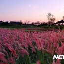 주포축산 이미지