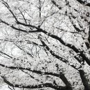 봄비어린이공원 이미지