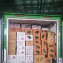 배성농장 이미지