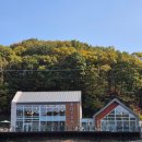 로이사 | 용인대형카페 고기리 가을단풍뷰 최고 로이사 후기