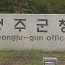 성주경북약국 이미지