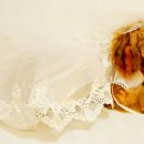 예쁜강아지 이미지