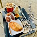 벨라애견카페 | 일산카페추천[카페노이] 소금빵 구움과자 메뉴추천 솔직후기! 벨라시타 애견동반가능