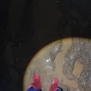 태백부동산공인중개사사무소 이미지