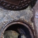 돈돼지식당 이미지