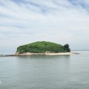 7월11(토) 안산 시티투어 (대부 해솔길과 구봉도) 이미지