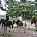 송당승마장 이미지