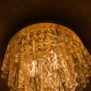 매화반점 이미지