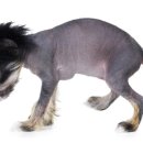 사랑종합동물병원 이미지