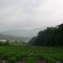 윗사기막 네이버블로그