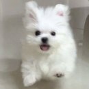 원광대학교 | 원광대학교비교과프로그램,WONNECT프로그램후기,소통,감정특강후기